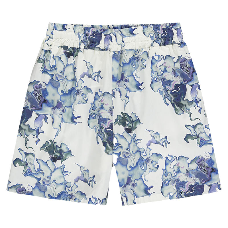 Ashluxe Men's Printed Shorts Blue Flower Aop